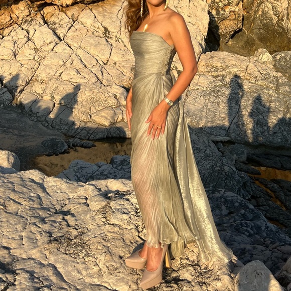 Maria lLucia Hohan gown, Silk Siona Gown - Picture 3 of 3